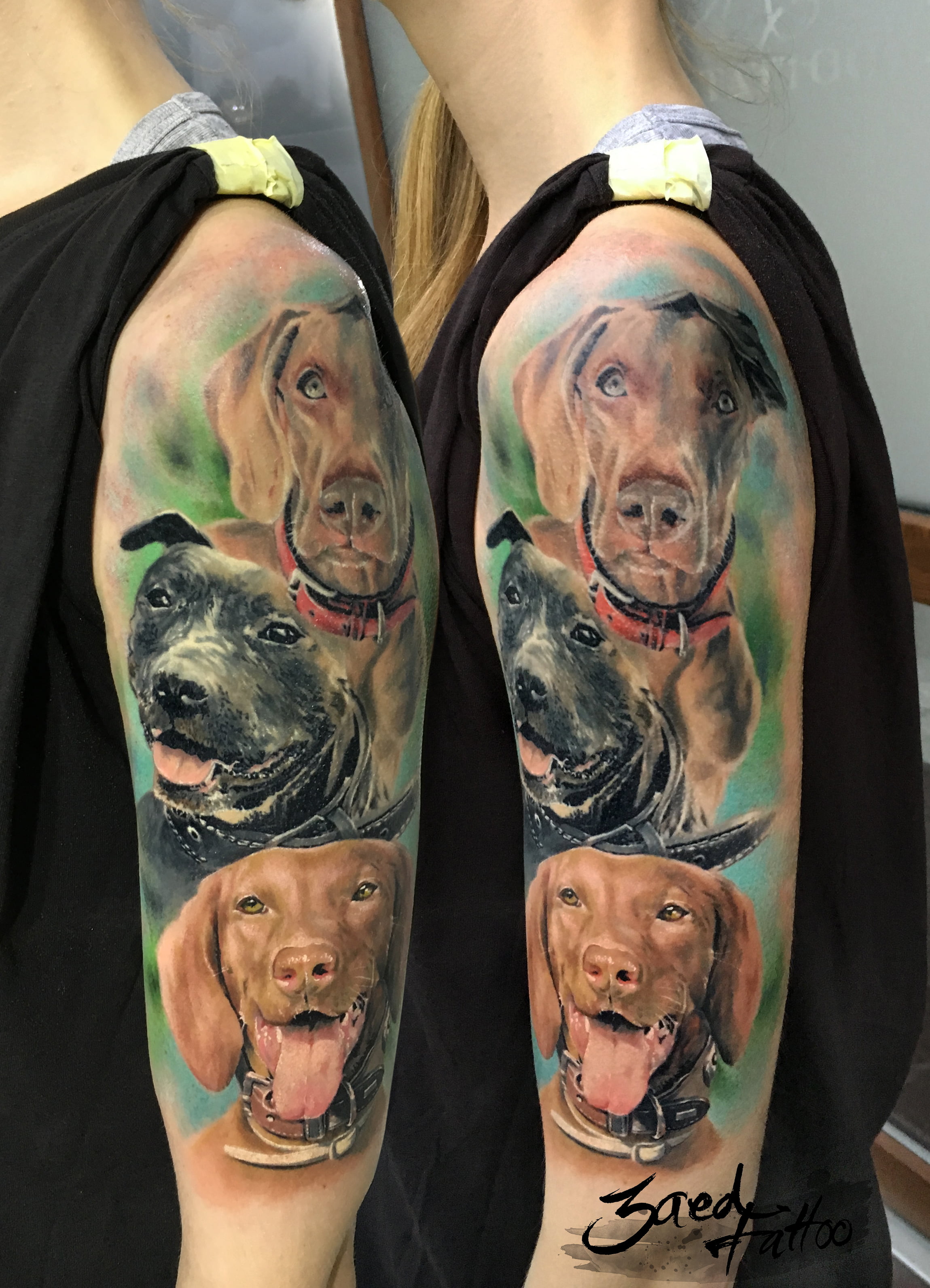 3 Dogs tattoo zaed