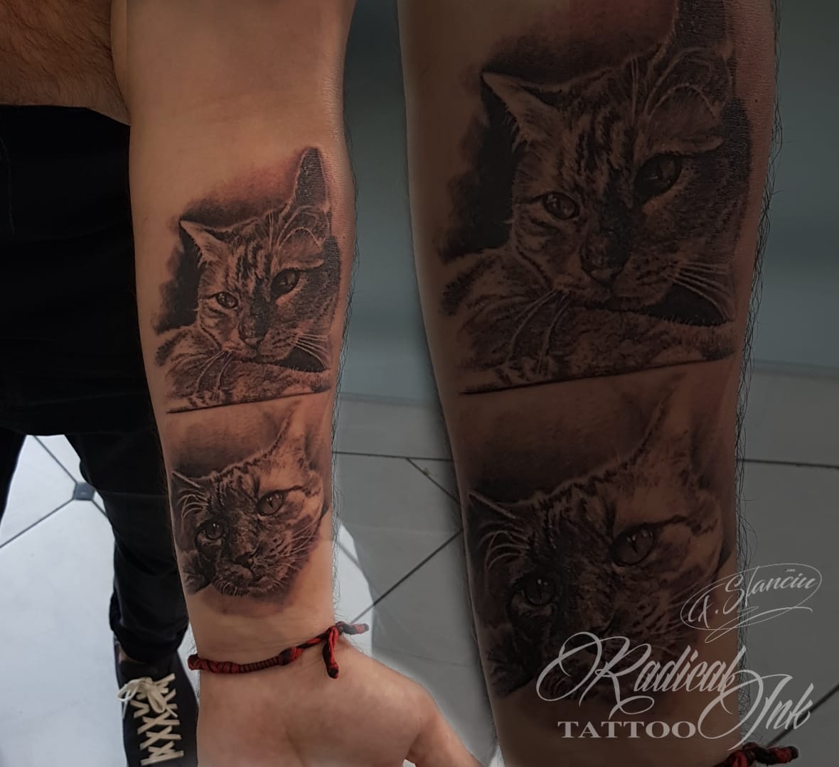 Cats Tattoo Florin Stanciu